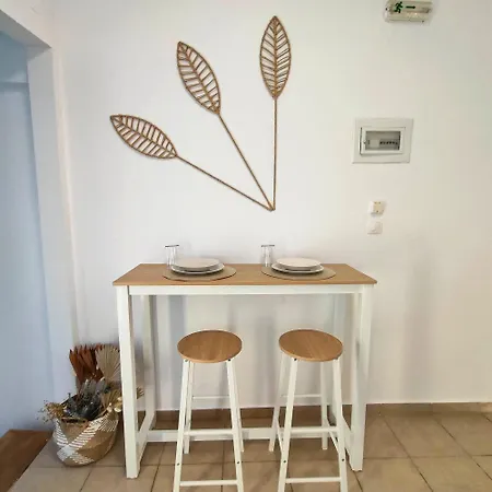 The Salt Collection *