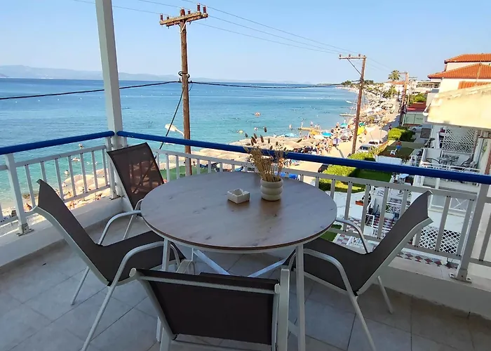 The Salt Collection *